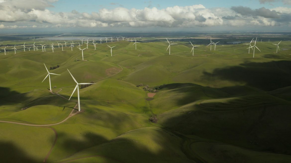 Polska ogranicza produkcję energii z farm wiatrowych i solarnych z powodu nadmiaru